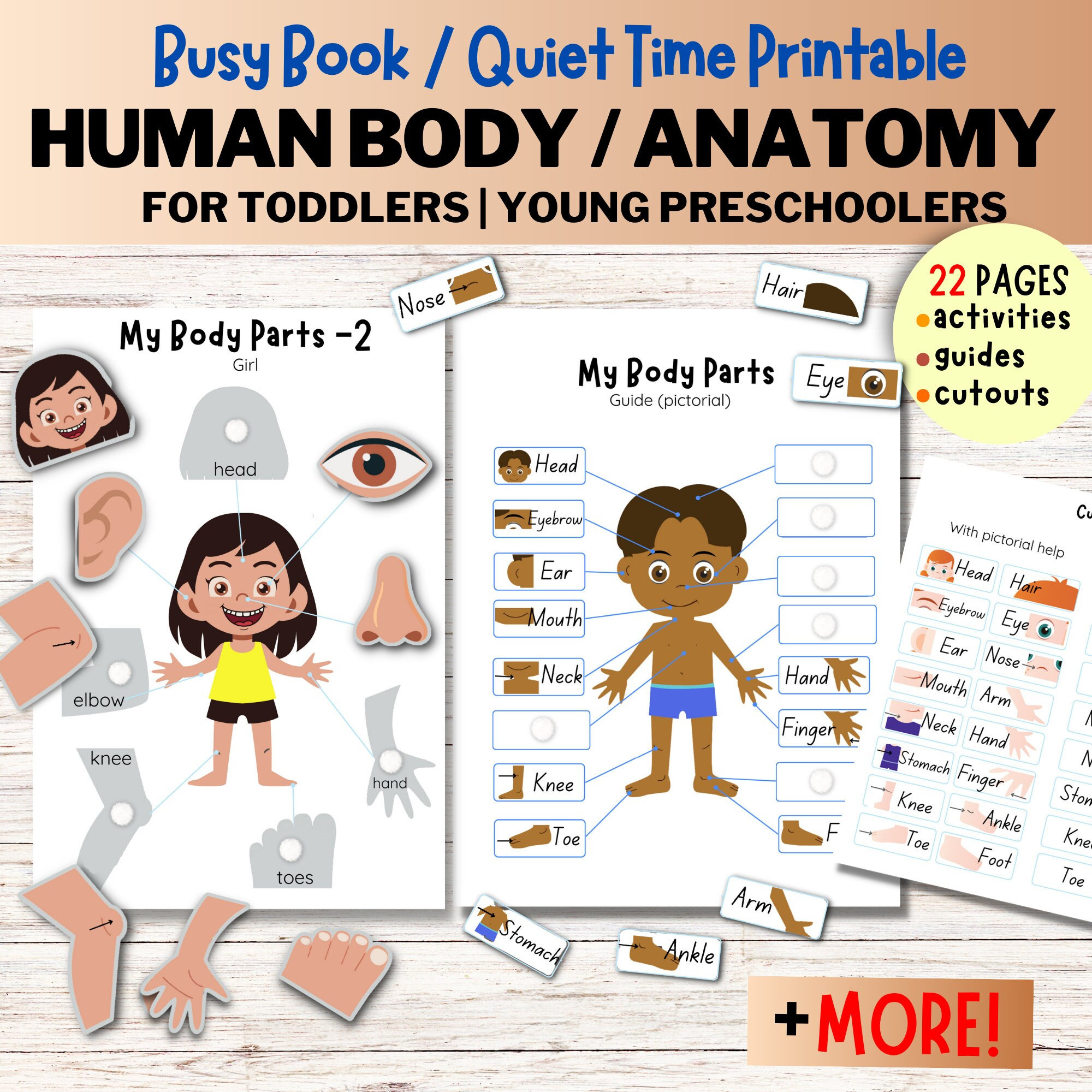 My Busy Body Story Printable