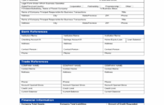 Business Credit Application Template