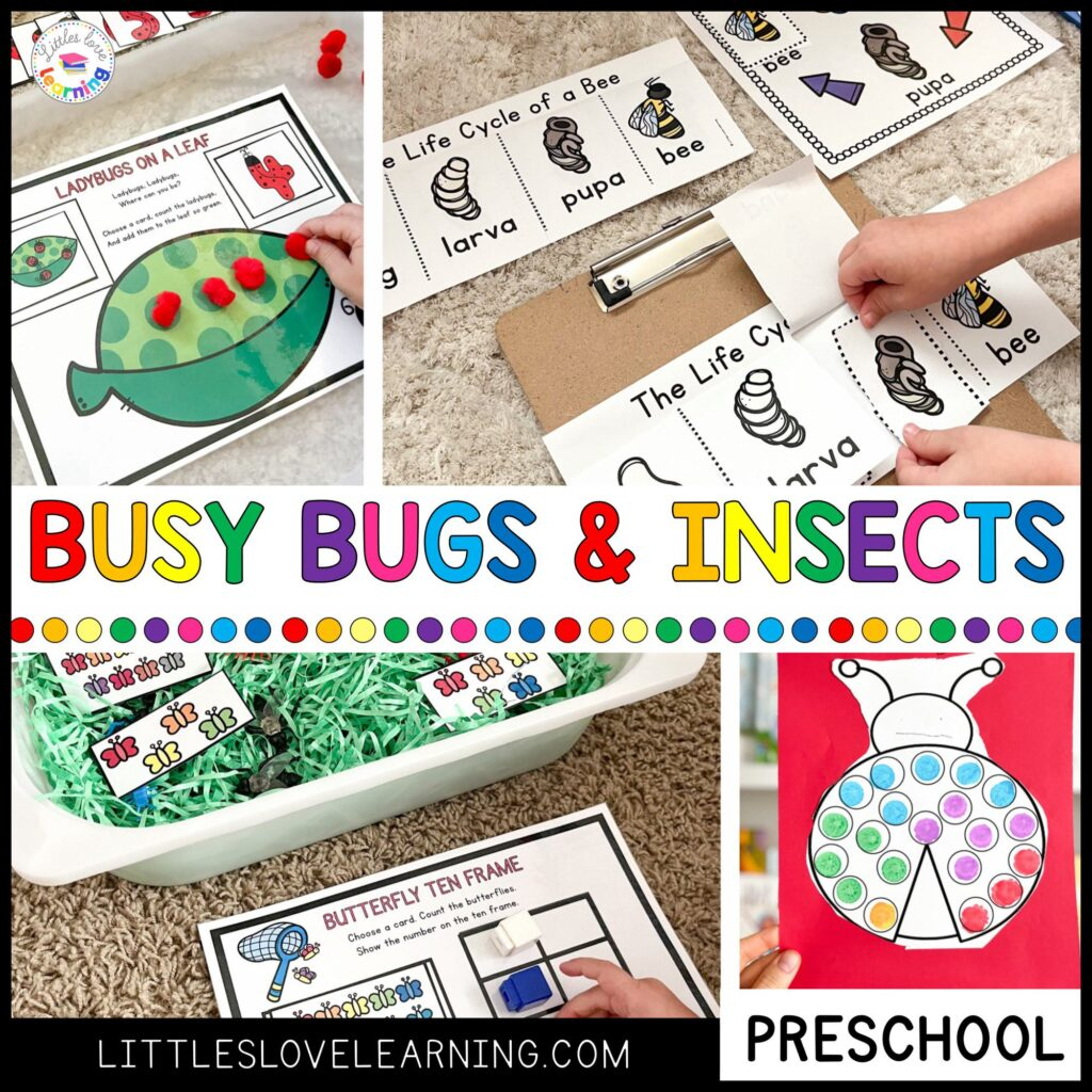 Creepy Crawly Bugs Insects Activities Preschool Kindergarten