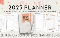 Free 2025 Planner 65 Page Printable Planner 4 Color Styles