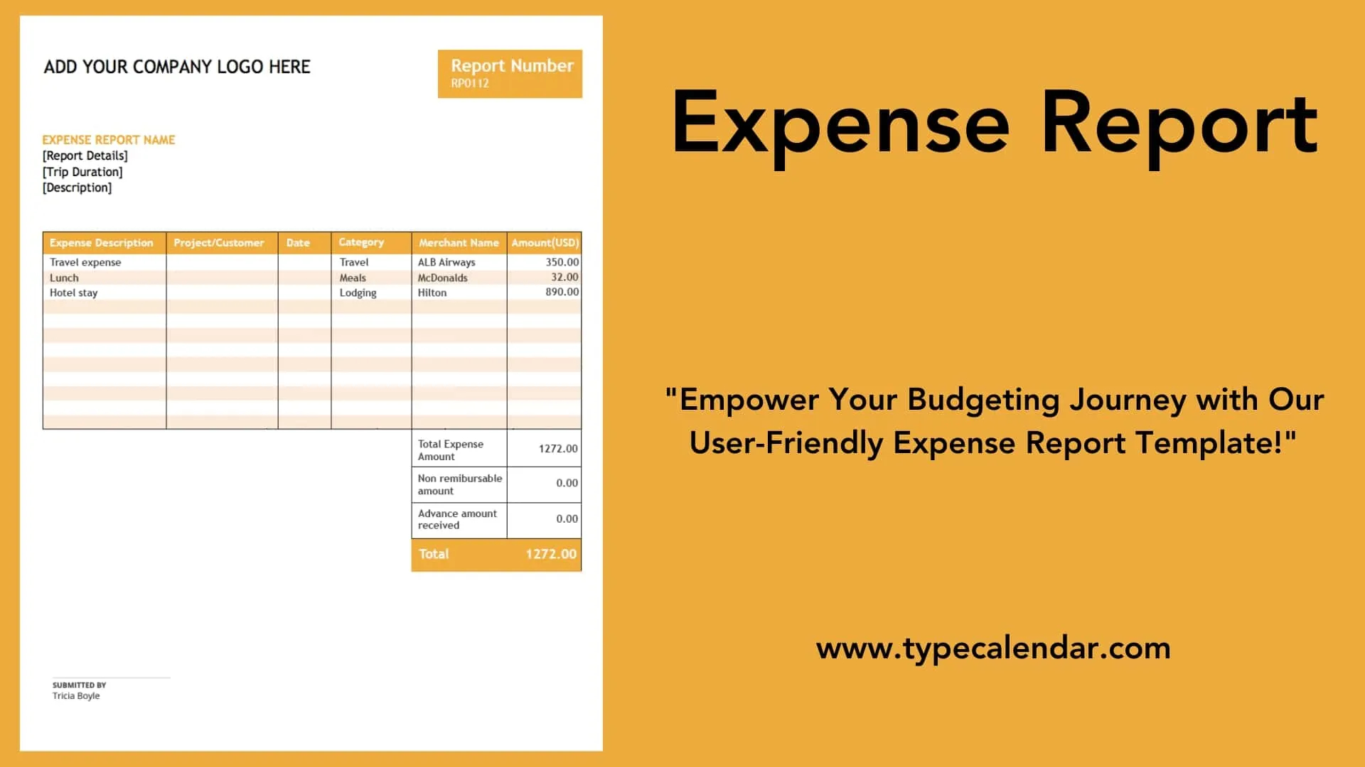 Small Business Printable Expense Report Template