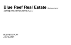 Free Real Estate Business Plan Template PDF Word
